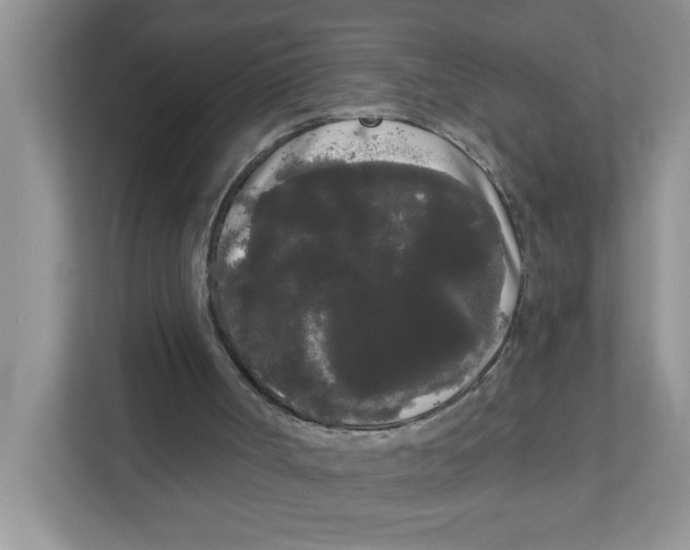 X0000111050002200907231606