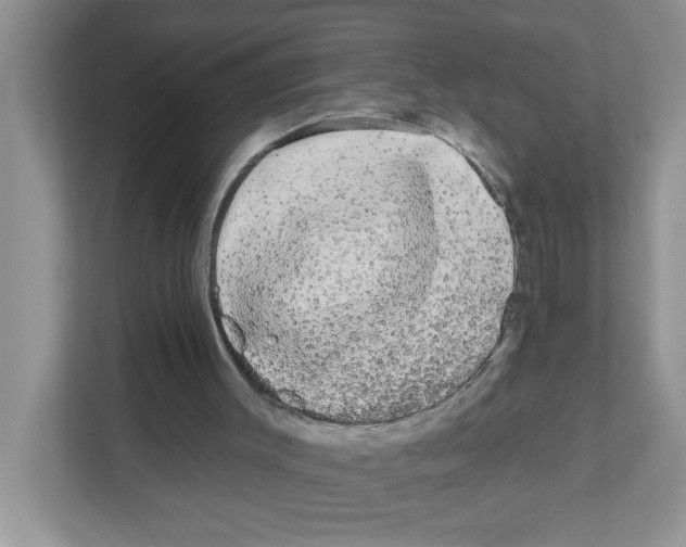 X0000111050003200907231605