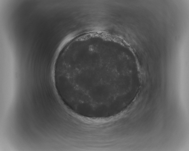 X0000111050006200907231605