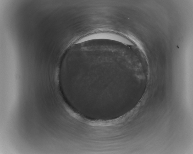 X0000111050009200907231605