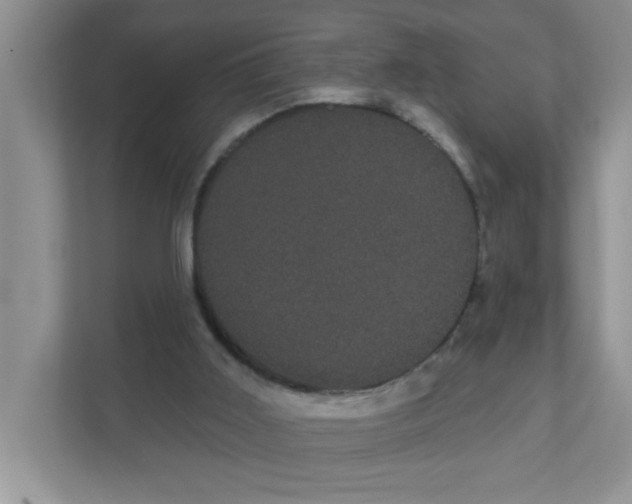 X0000111050011200907231605