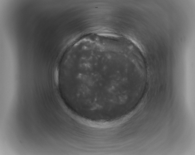 X0000111050014200907231605