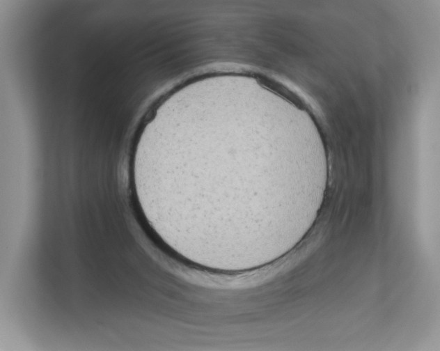 X0000111050015200907231605