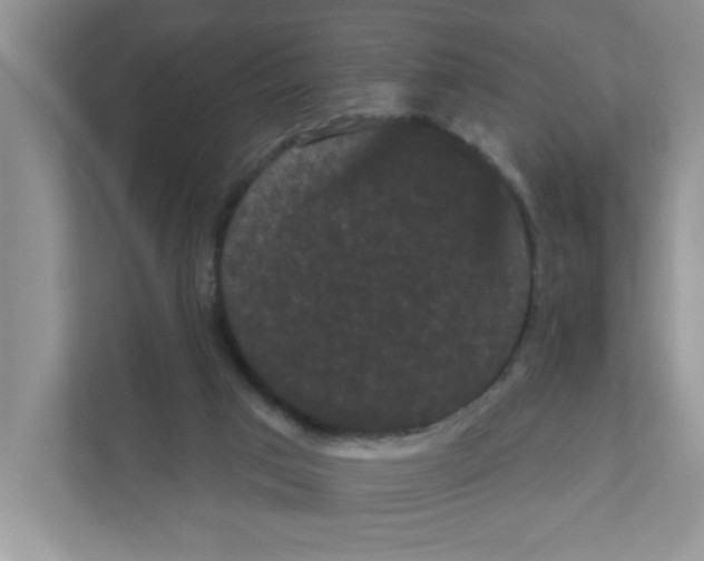 X0000111050017200907231605