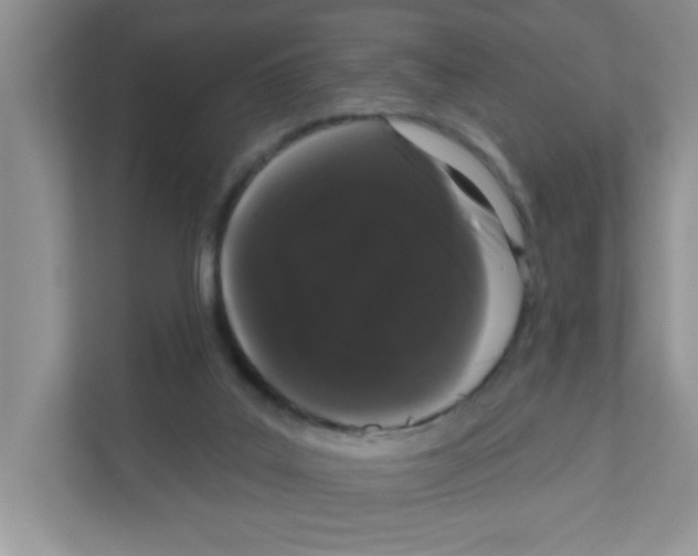 X0000111050019200907231605