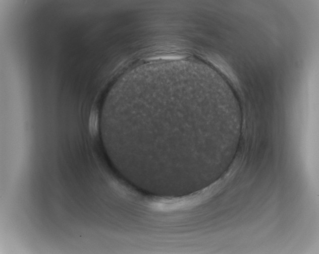 X0000111050021200907231605