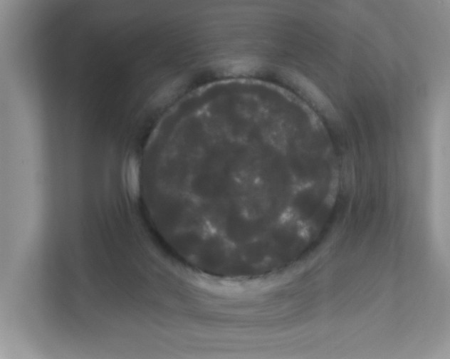 X0000111050022200907231605