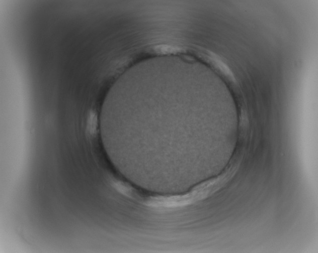 X0000111050025200907231605