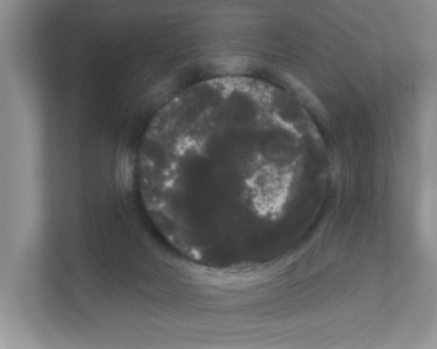 X0000111050026200907231605