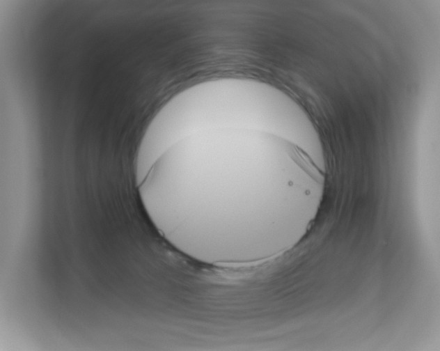 X0000111050033200907231605