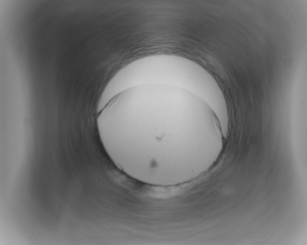 X0000111050037200907231605