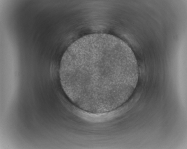 X0000111050038200907231605