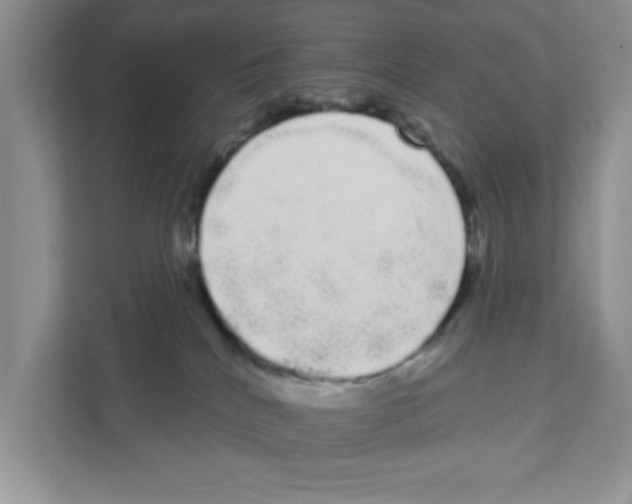 X0000111050040200907231605