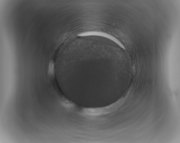 X0000111050041200907231605