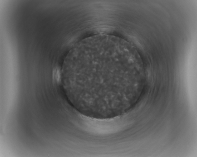 X0000111050042200907231605