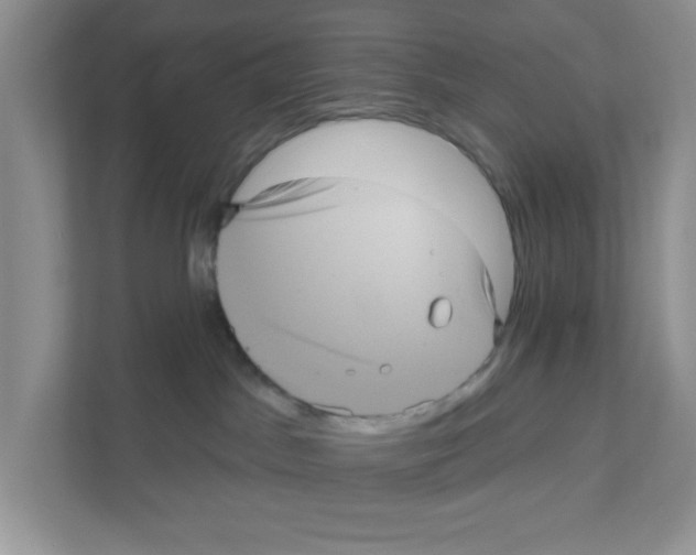 X0000111050045200907231605