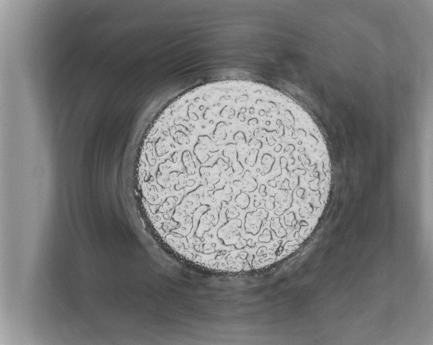 X0000111050049200907231604