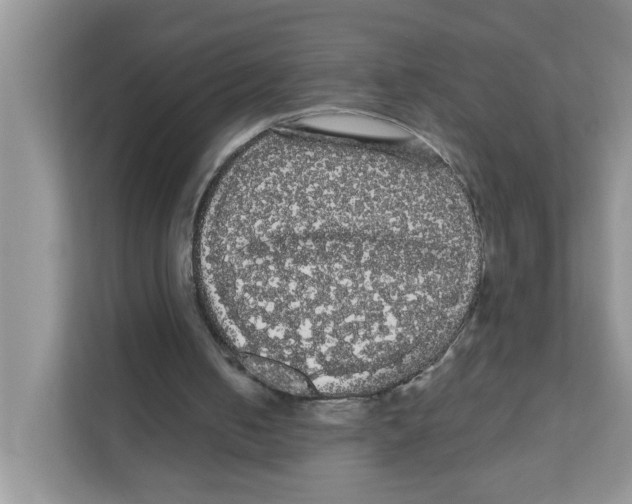 X0000111050050200907231604