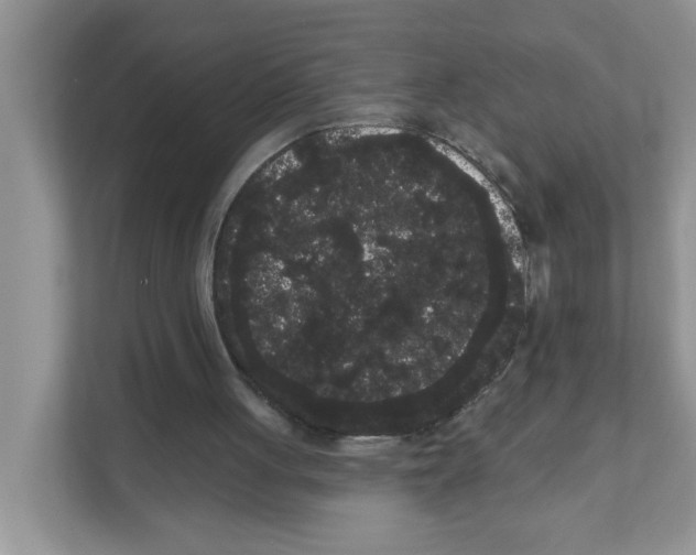 X0000111050051200907231604