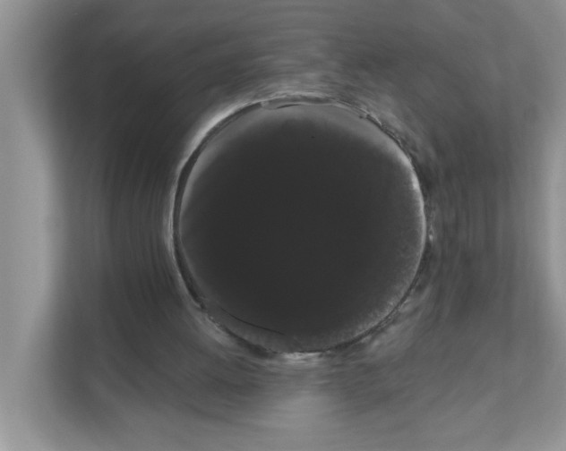 X0000111050052200907231604