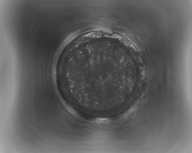 X0000111050055200907231604