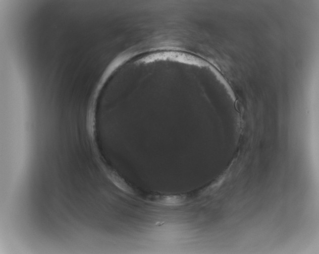 X0000111050056200907231604