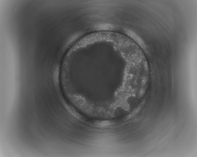 X0000111050058200907231604