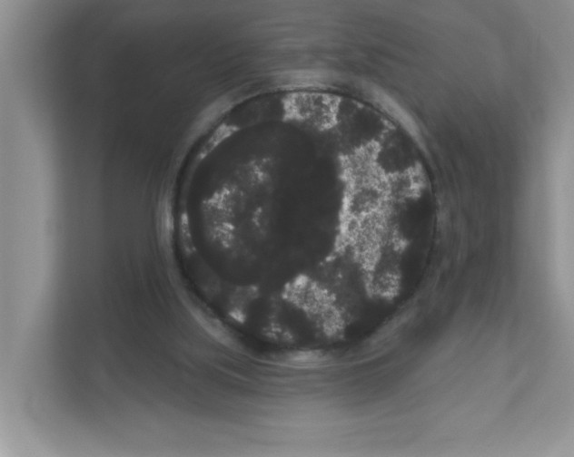 X0000111050059200907231604