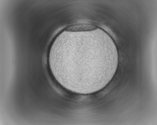 X0000111050060200907231604