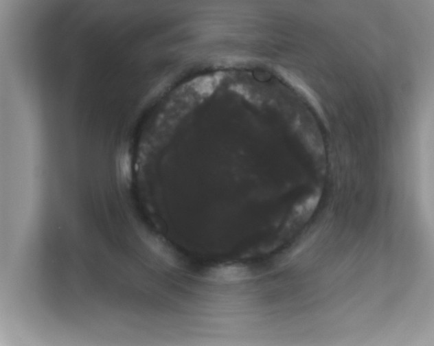 X0000111050067200907231604