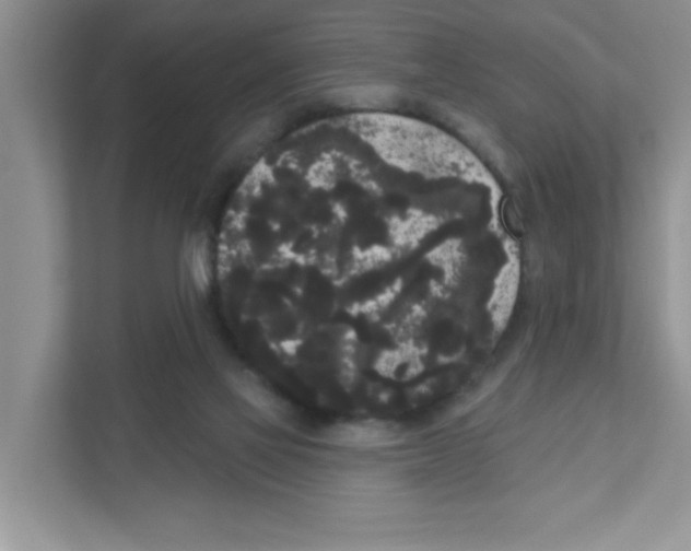 X0000111050069200907231604