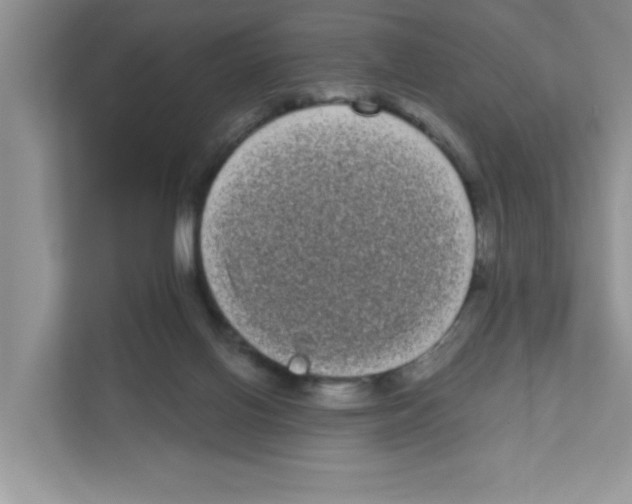 X0000111050070200907231604