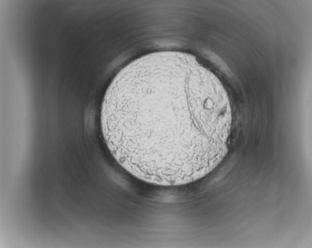 X0000111050071200907231605