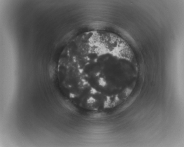 X0000111050073200907231605