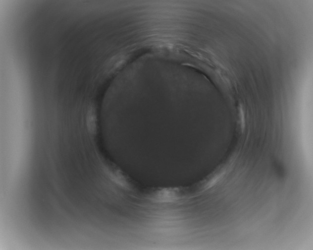 X0000111050080200907231605