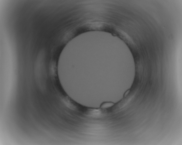 X0000111050083200907231605