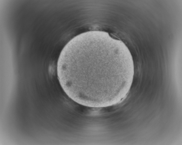 X0000111050090200907231605