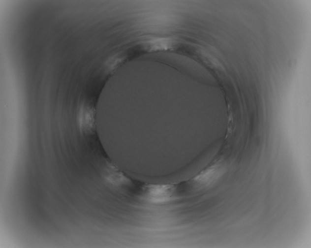 X0000111050096200907231605