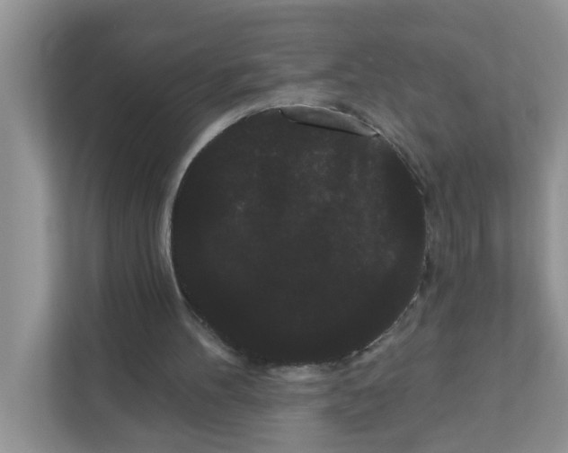 X0000111050100200907231604