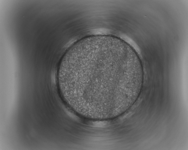 X0000111050105200907231604