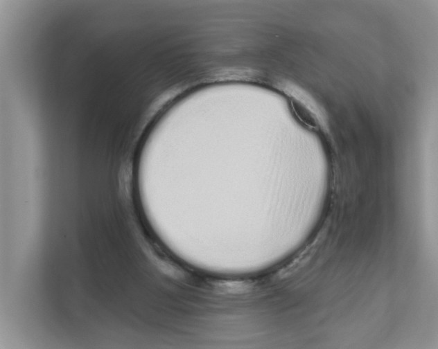 X0000111050107200907231604