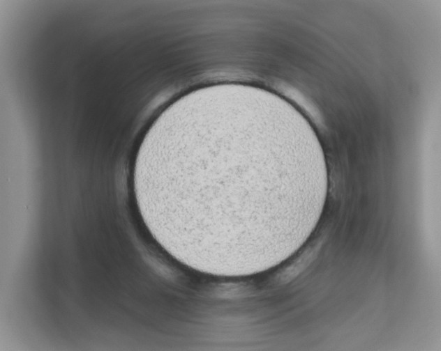 X0000111050111200907231604