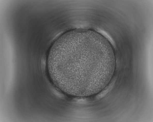 X0000111050113200907231604