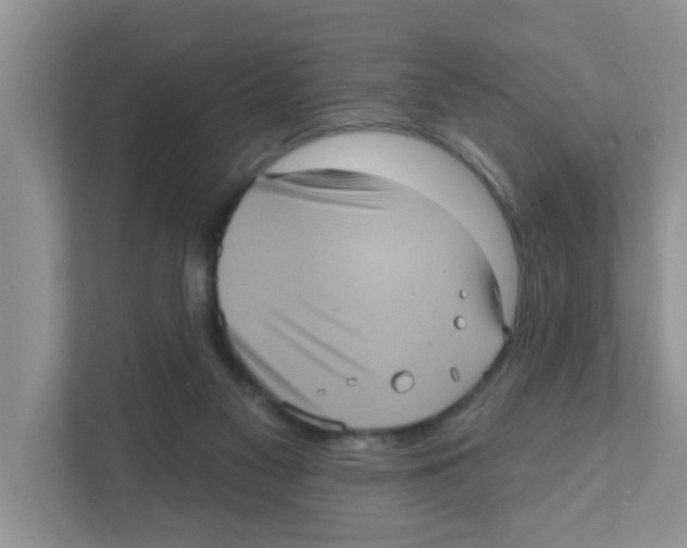 X0000111050117200907231604