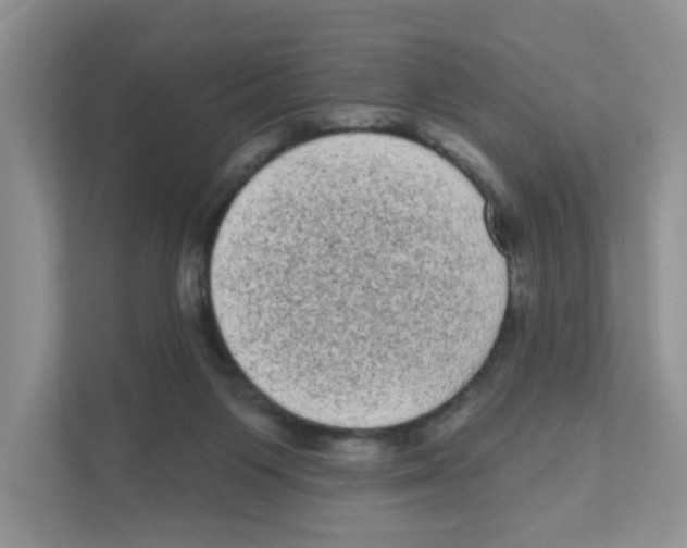 X0000111050119200907231604