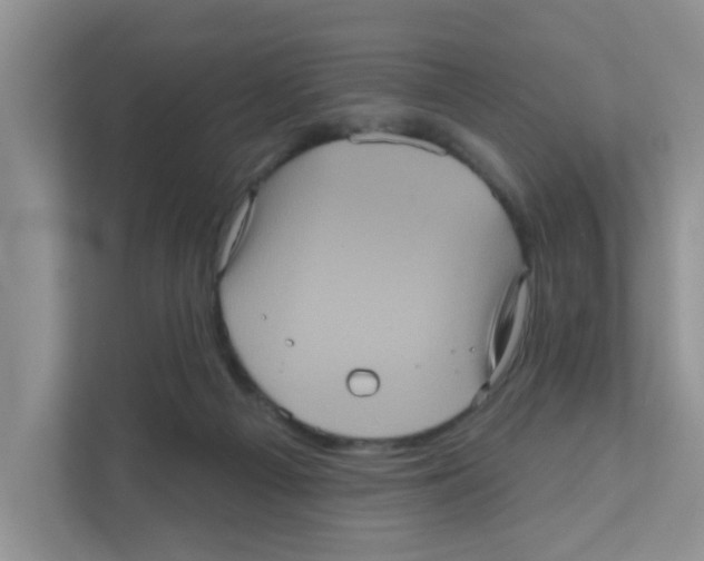 X0000111050121200907231604