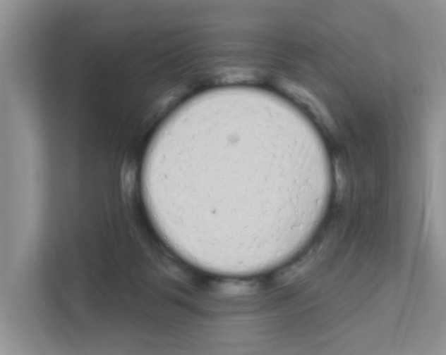 X0000111050123200907231604