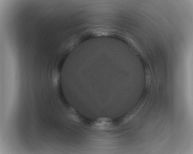 X0000111050125200907231604