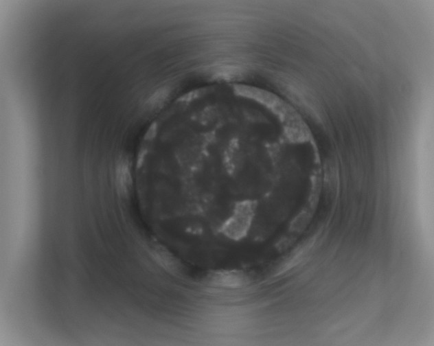 X0000111050127200907231604