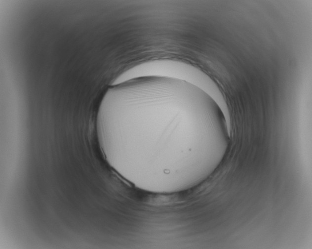 X0000111050129200907231604